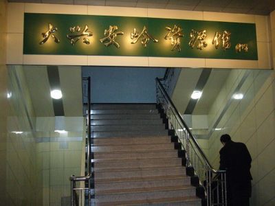 大興安嶺資源館天氣