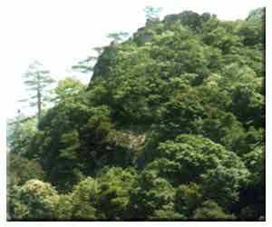 南平湛廬山天氣