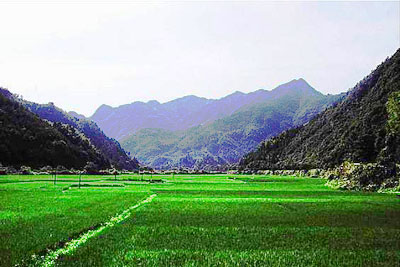 南平洞宮山天氣