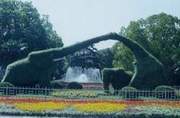 上海動(dòng)物園天氣