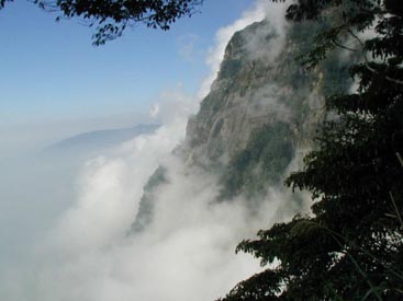 臺灣阿里山天氣