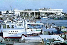桃園永安海濱公園天氣