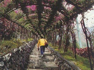 臺灣龍谷天然樂園天氣