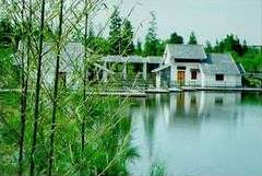 上海共青森林公園天氣