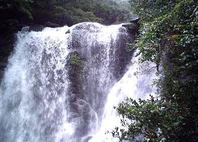臺北滿月圓森林游樂園天氣