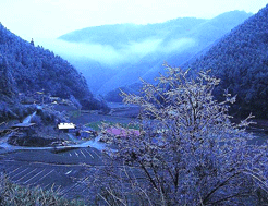 臺灣思源埡口天氣