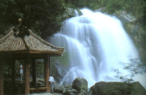 臺灣內洞森林游樂區天氣