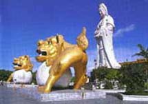 臺中中正公園天氣