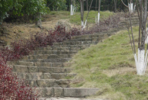 桃園溪州山登山步道天氣