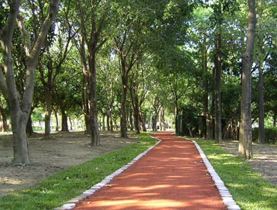 臺(tái)灣大安森林公園天氣