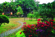 臺(tái)灣昆侖藥用植物觀光園天氣