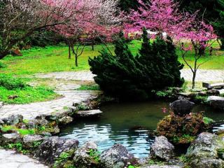 臺北陽明山國家公園天氣