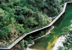 臺中八仙山天氣