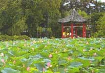 臺北植物園天氣