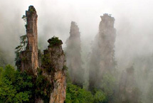 臺中武陵風景區天氣