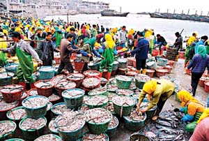 臺中梧棲假日魚市天氣