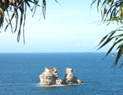 臺灣萬里海水浴場天氣