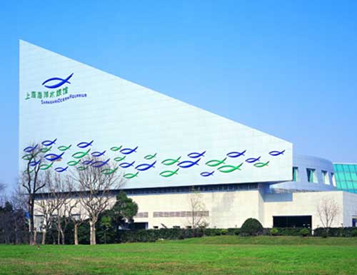 上海海洋水族館天氣