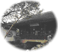 松江醉白池天氣