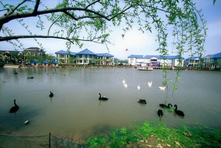 上海申隆生態(tài)園天氣