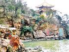 崇明廣福寺天氣