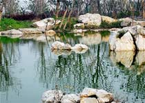 寶山吳淞口炮臺灣濕地森林公園天氣