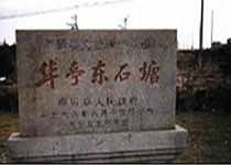奉賢華亭東石塘天氣
