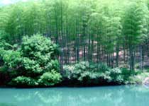 西湖東明山森林公園天氣