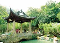 西湖龍井八景天氣