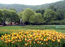 西湖太子灣公園天氣