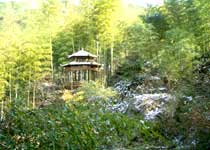 杭州山溝溝風(fēng)景名勝區(qū)天氣