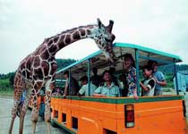杭州野生動物世界天氣