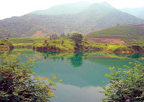 富陽龍塢茶休閑村天氣