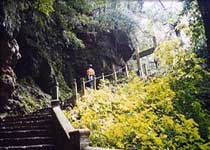 寧波天童國家森林公園天氣