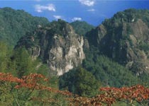 文成銅鈴山森林公園天氣