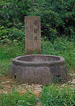臨安婆留井天氣