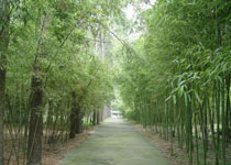 安吉竹博園天氣