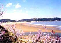 嵊泗塔灣金沙景區(qū)天氣