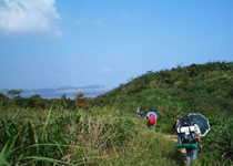 舟山懸山島天氣