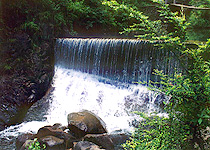 桐廬大奇山國家森林公園天氣