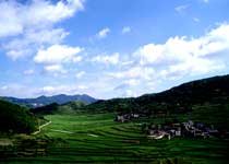 麗水大洋山景區天氣