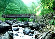 遂昌飛石嶺景區(qū)天氣