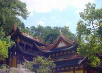 青田太鶴山公園天氣