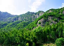 仙居淡竹原始森林天氣