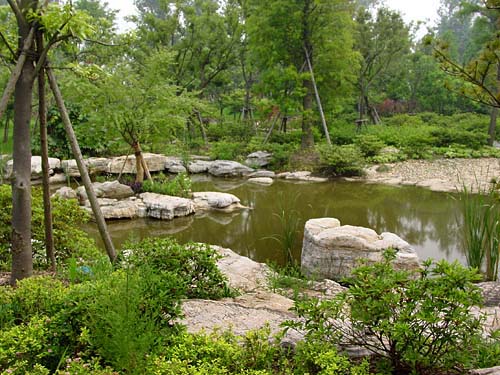 上海濱江森林公園天氣