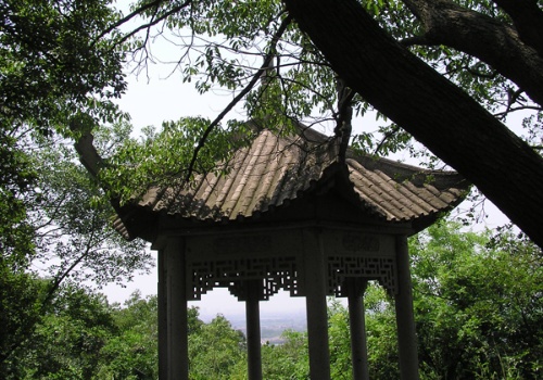 上海洗心泉天氣
