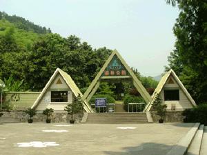 杭州東明山森林公園天氣