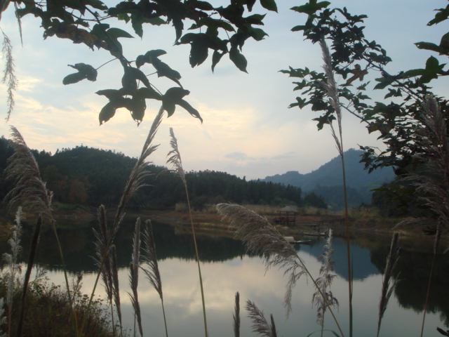 杭州千島湖西南湖區(qū)——龍川灣天氣