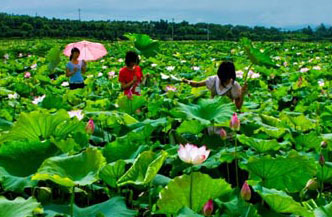 建德里葉十里荷花景區(qū)天氣