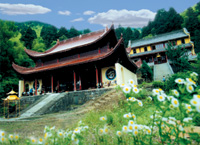 臨安東天目山天氣